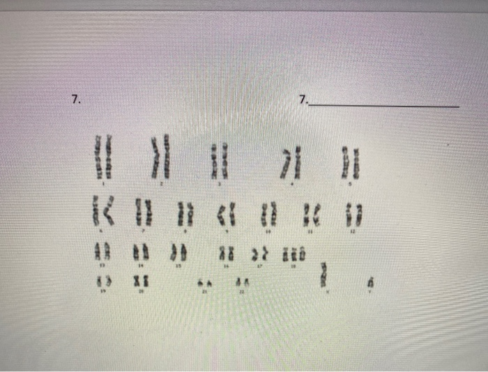 Solved Enter the karyotype descriptions for the following | Chegg.com