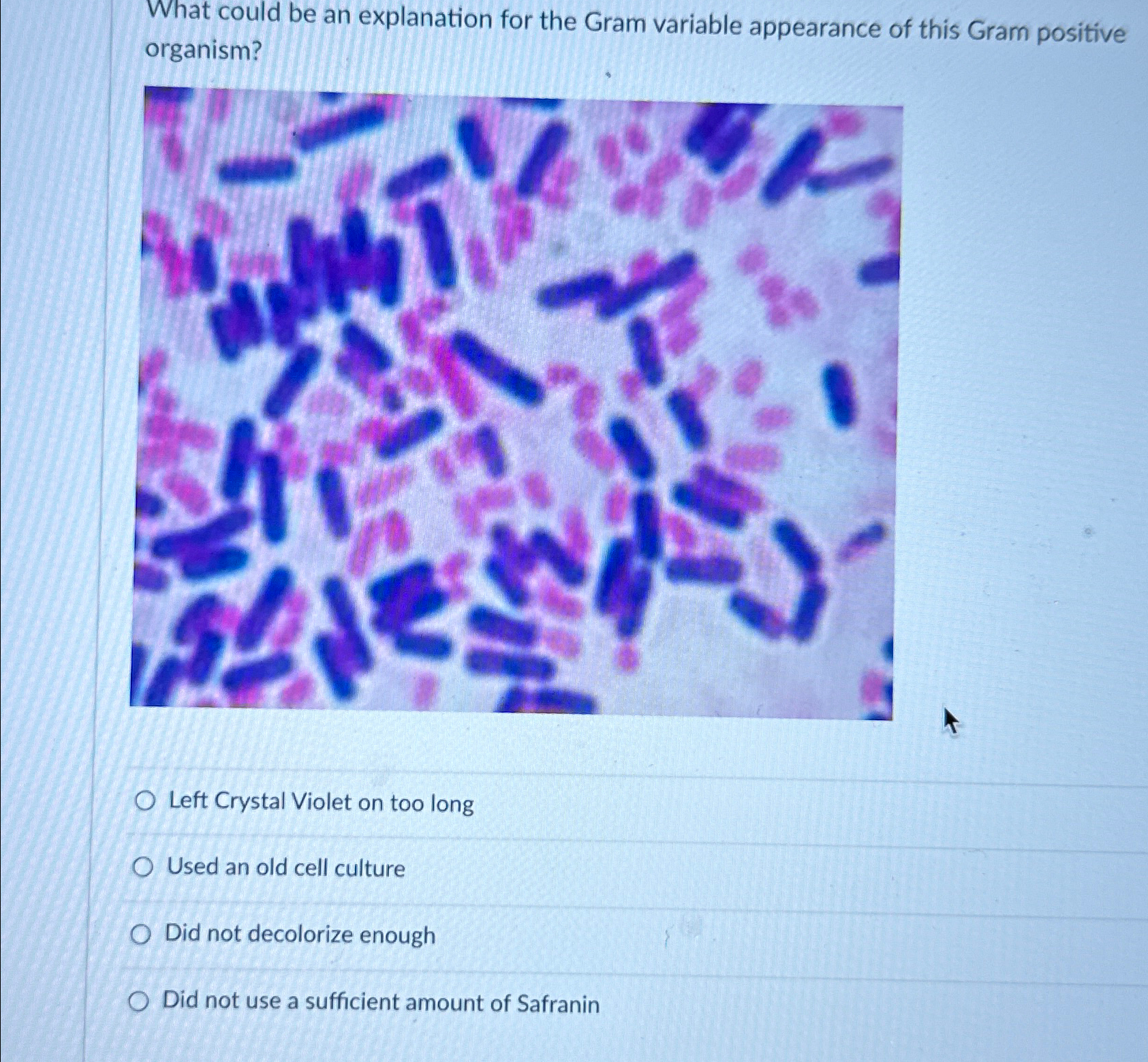 Solved What could be an explanation for the Gram variable | Chegg.com