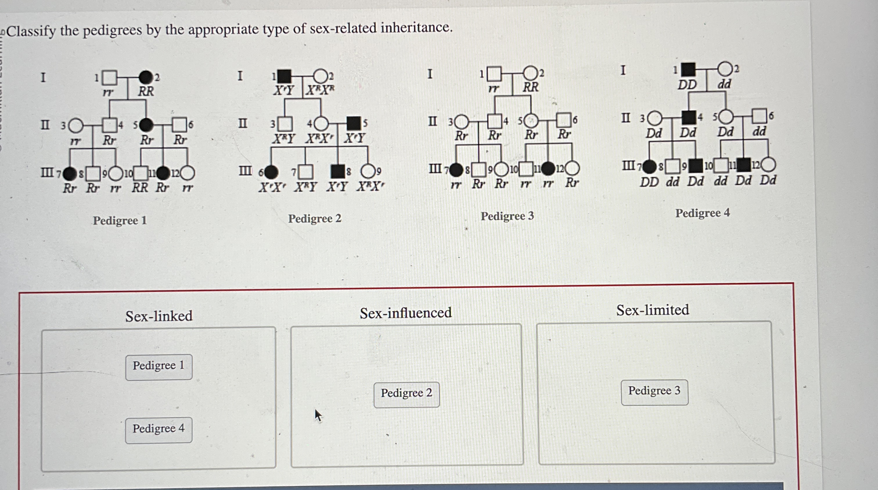 Solved Classify the pedigrees by the appropriate type of | Chegg.com