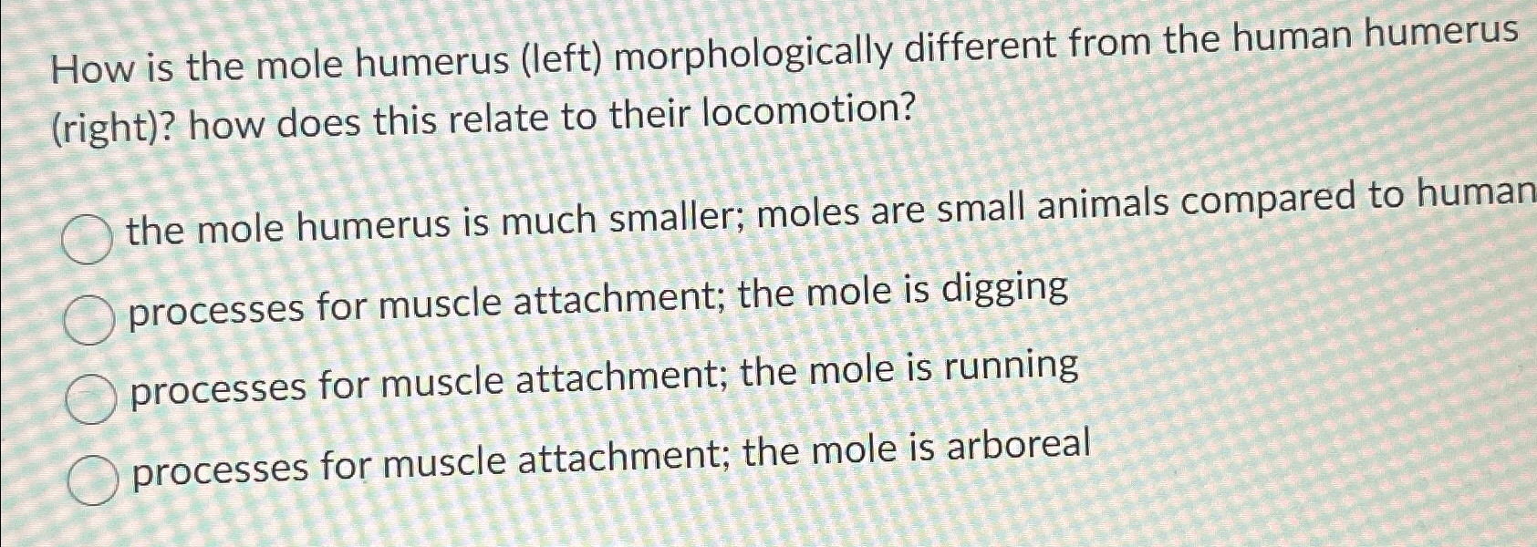 Solved How is the mole humerus (left) ﻿morphologically | Chegg.com