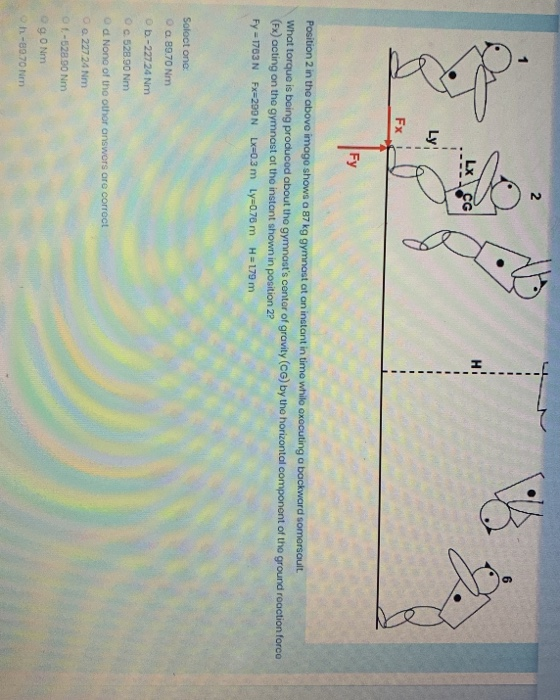 Solved Position 2 in the above imago shows a 87 kg gymnast | Chegg.com