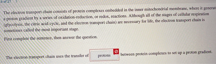 Solved The electron transport chain consists of protein | Chegg.com
