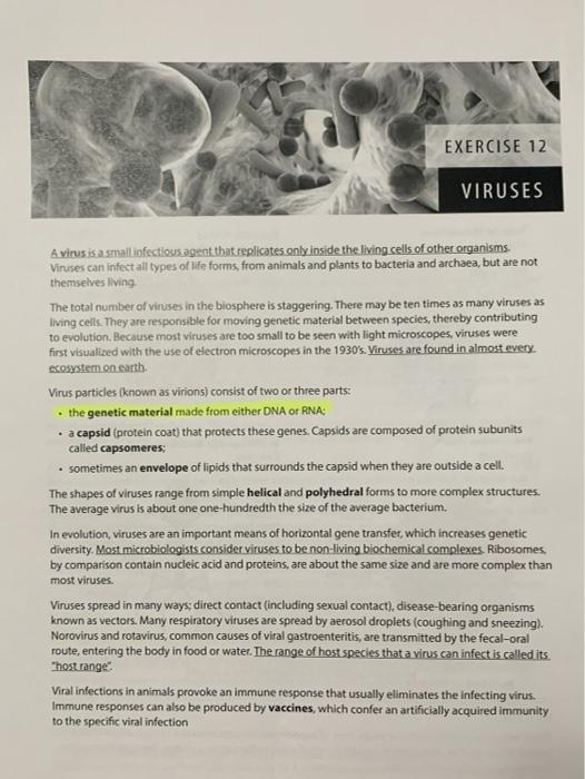 Solved EXERCISE 12 VIRUSES A virus is a small infectious 