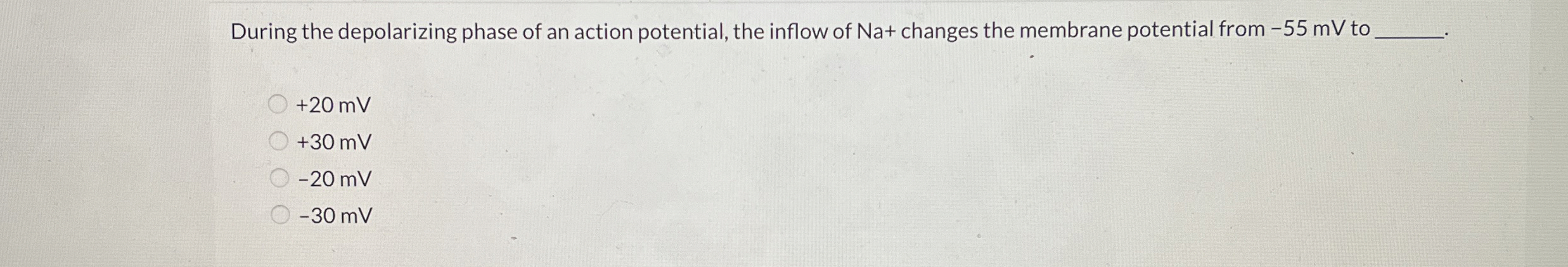 during the depolarizing phase of an action potential