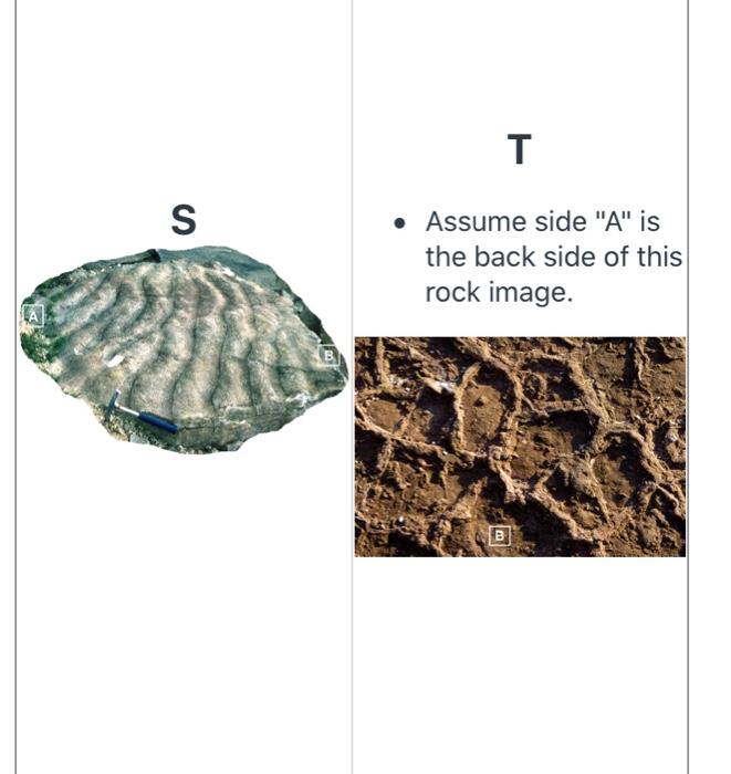 Solved 1. Sample Q: Strata or bedding is the layering common | Chegg.com