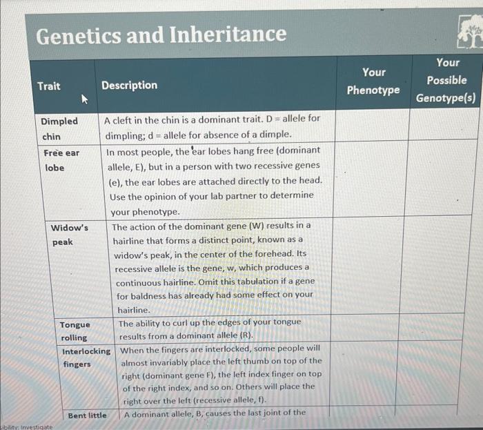 Solved Instructions The Following Traits Have Been | Chegg.com