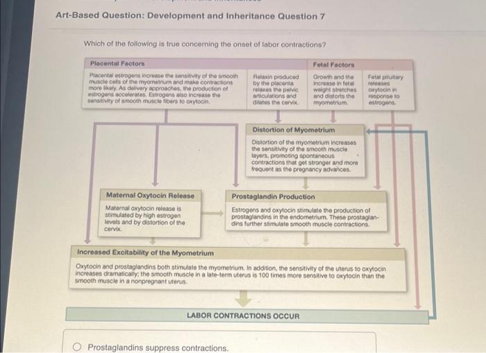 Solved ArtBased Question Development and Inheritance