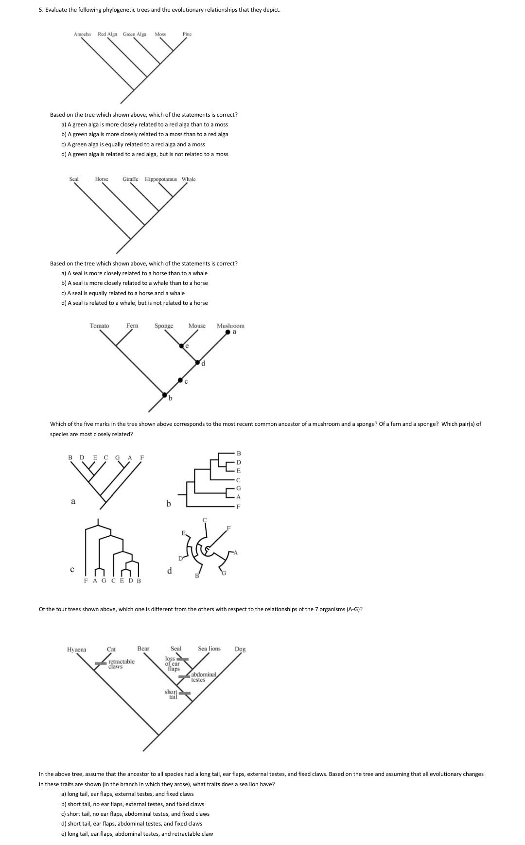 Solved 5. Evaluate the following phylogenetic trees and the | Chegg.com
