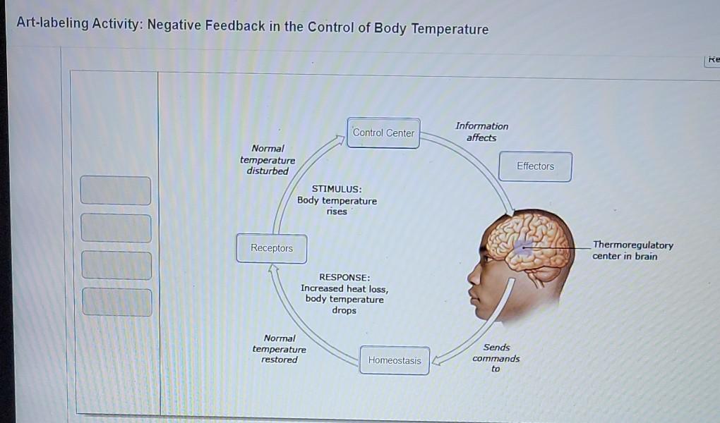 Body Temperature Control