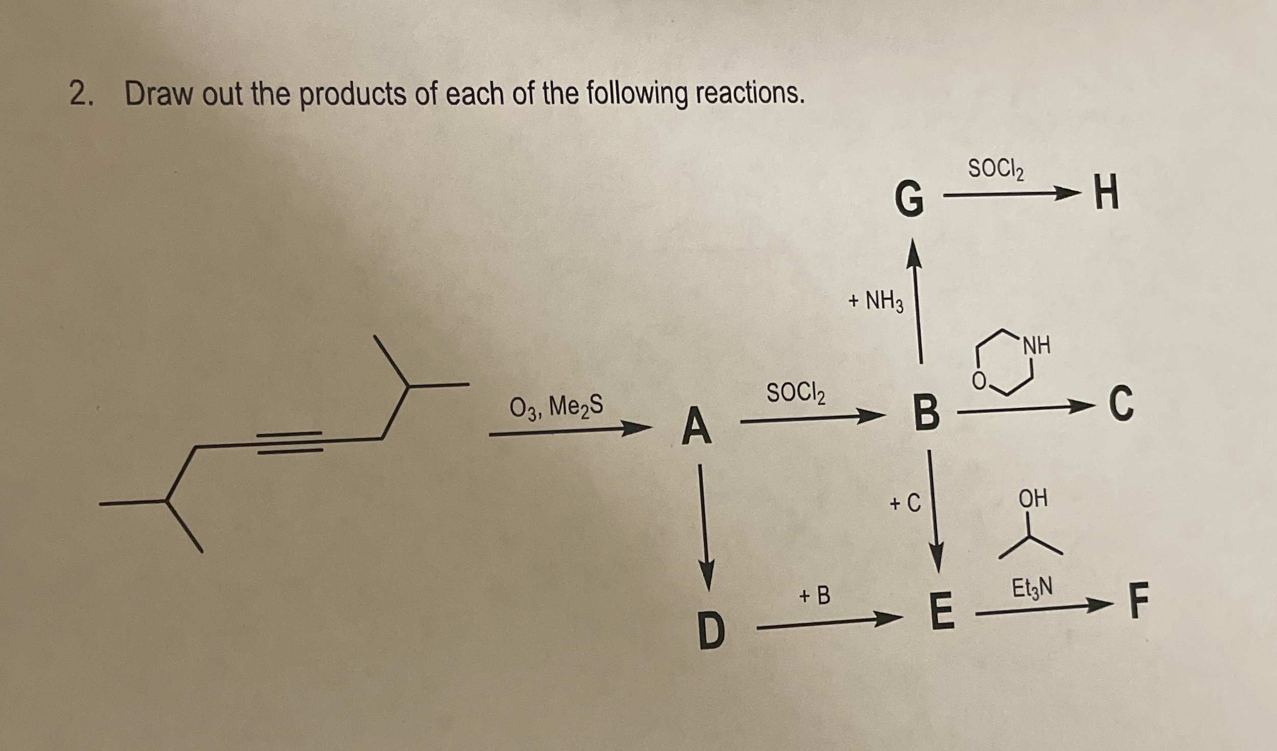 Solved Draw out the products of each of the following | Chegg.com