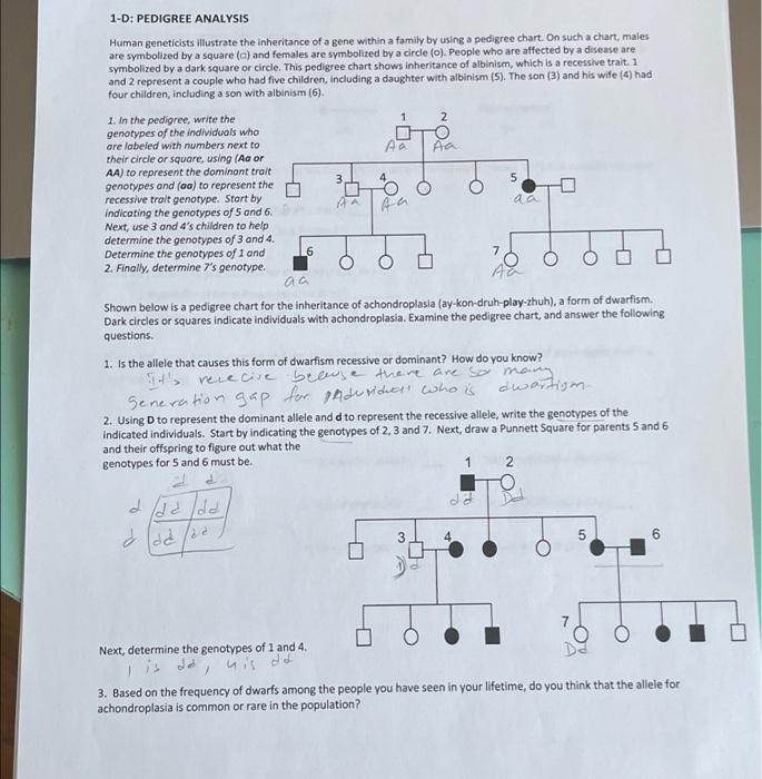 Solved 1-D: PEDIGREE ANALYSIS Human geneticists Illustrate | Chegg.com