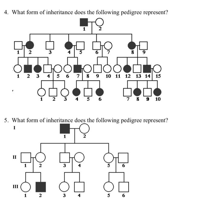 Solved 4. What form of inheritance does the following | Chegg.com