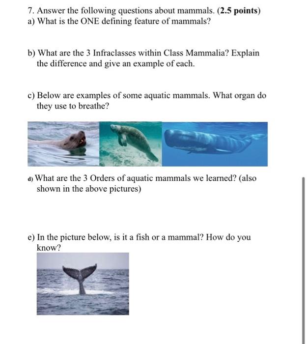 Solved 7. Answer the following questions about mammals. ( 
