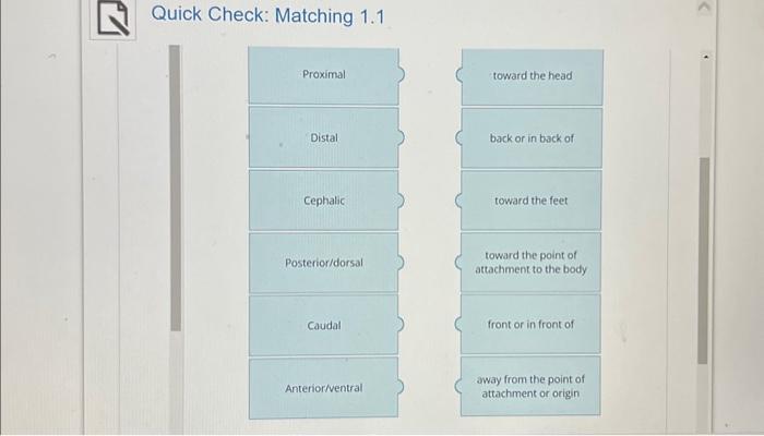 Solved Quick Check: Matching 1.1 | Chegg.com
