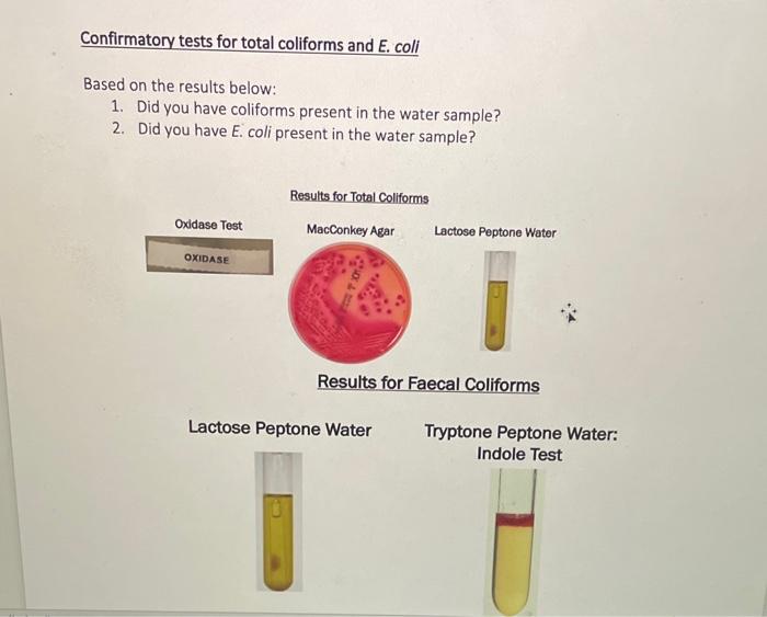 Solved Confirmatory tests for total coliforms and E. coli