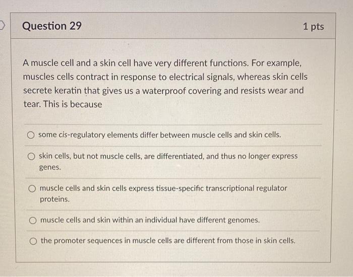 solved-question-29-1-pts-a-muscle-cell-and-a-skin-cell-have-chegg