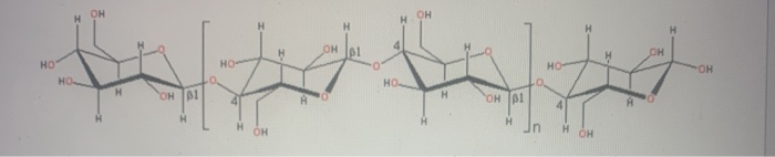 Solved What is the name of this below?What is the | Chegg.com