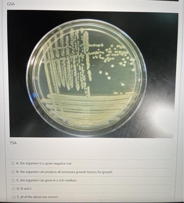 Solved an unknown organism was inoculated to this TSA plate | Chegg.com