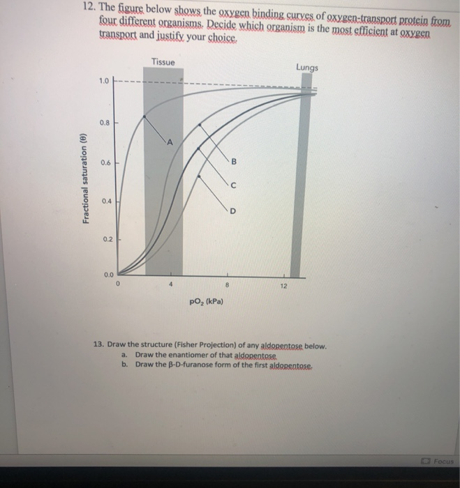 Solved 12. The figure below shows the oxygen binding curves | Chegg.com