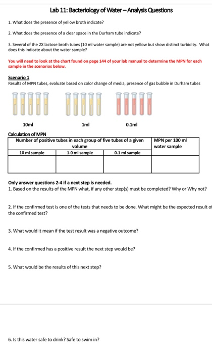 Solved Lab 11: Bacteriology of Water-Analysis Questions 1. | Chegg.com