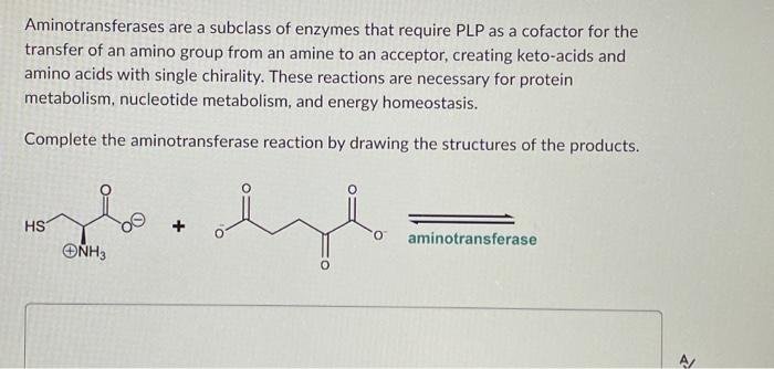 Solved Aminotransferases are a subclass of enzymes that | Chegg.com