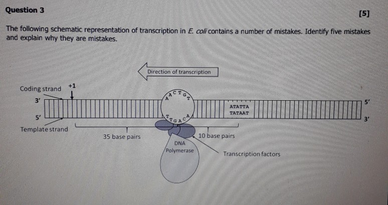 the following schematic representat
