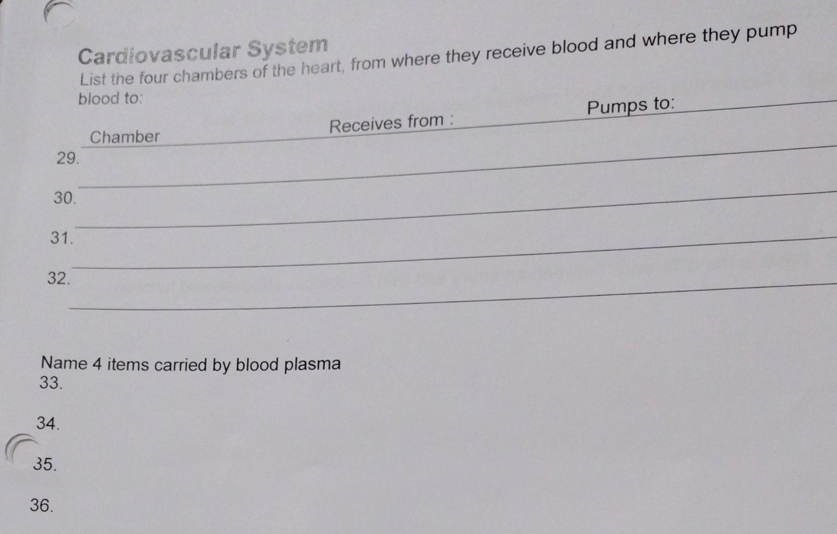 name the chamber of heart which receive blood