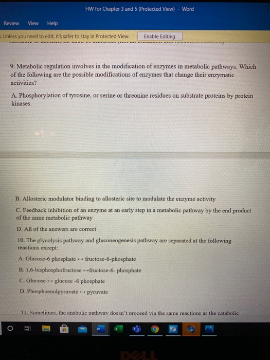 Solved HW for Chapter 3 and 5 (Protected View) - Word Review | Chegg.com