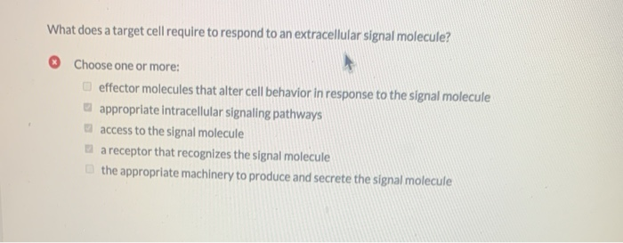 Solved What Does A Target Cell Require To Respond To An Chegg