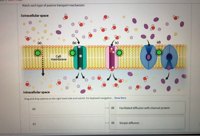 question-2-11-homework-unanswered-which-type-of-chegg