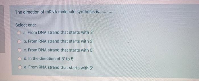 Solved The direction of mRNA molecule synthesis | Chegg.com