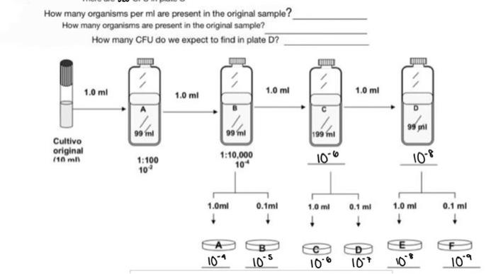 How many organisms per mi are present in the original sample? How many organisms are present in the original sample? How many