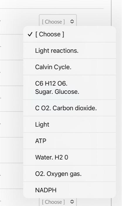 \( \checkmark \) [Choose ]
Light reactions.
Calvin Cycle.
C6 H12 O6.
Sugar. Glucose.
C O2. Carbon dioxide.
Light
ATP
Water. \