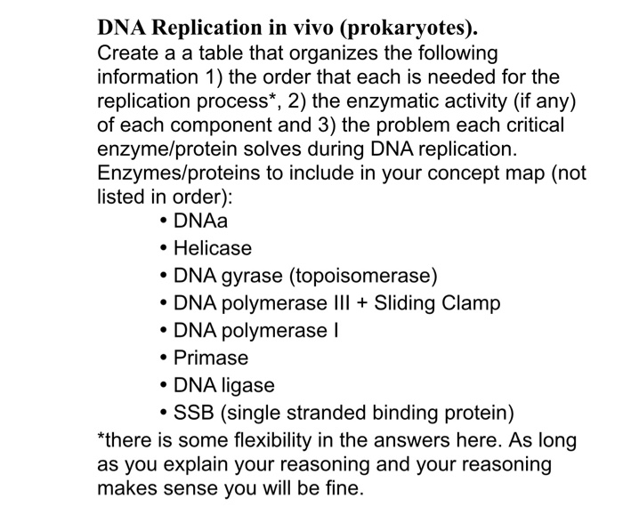 Solved Dna Replication In Vivo Prokaryotes Create A A Chegg Com