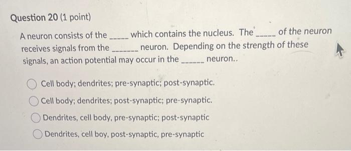 Solved A neuron consists of the which contains the nucleus. | Chegg.com