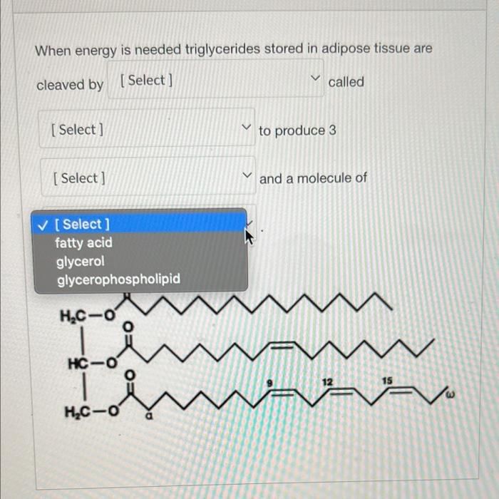 When energy is needed triglycerides stored in adipose tissue are
cleaved by [Select]
called
[Select]
to produce 3
[Select]
an