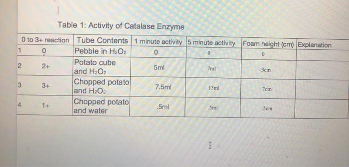 1 0 0 1 Table 1: Activity of Catalase Enzyme 0 to 3+ | Chegg.com