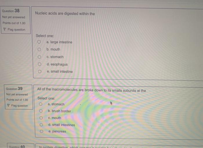 Solved Nucleic acids are digested within the Question 38 Not