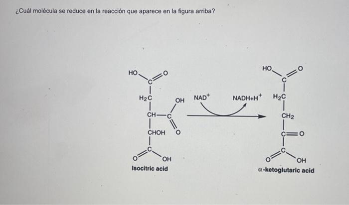 ¿Cuál molécula se reduce en la reacción que aparece en la figura arriba?