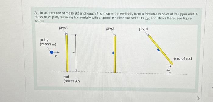 Solved A Thin Uniform Rod Of Mass M And Length ℓ Is