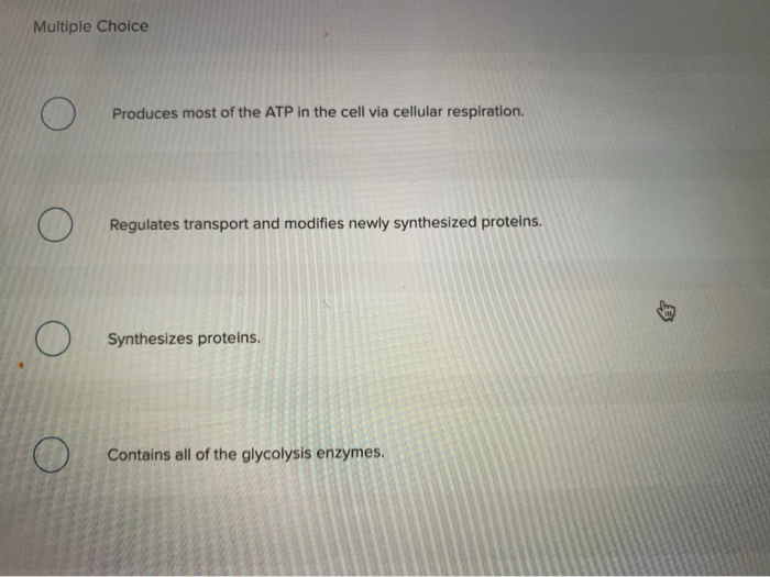 Solved What is the function of the highlighted organelle? | Chegg.com