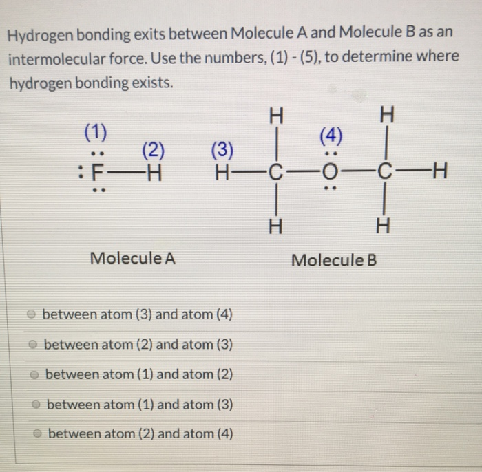 Solved Hydrogen Bonding Exits Between Molecule A And 8451