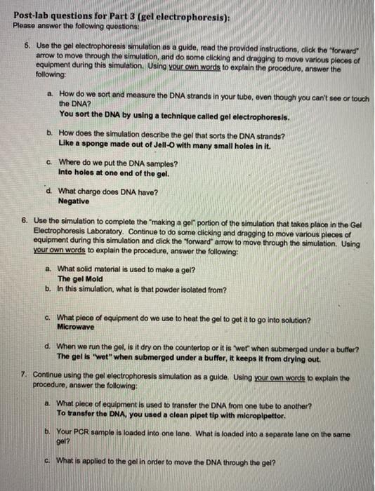 Solved Postlab questions for Part 3 (gel electrophoresis)