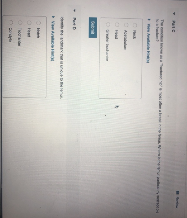 Solved Which landmark is found on the anterior surface of | Chegg.com