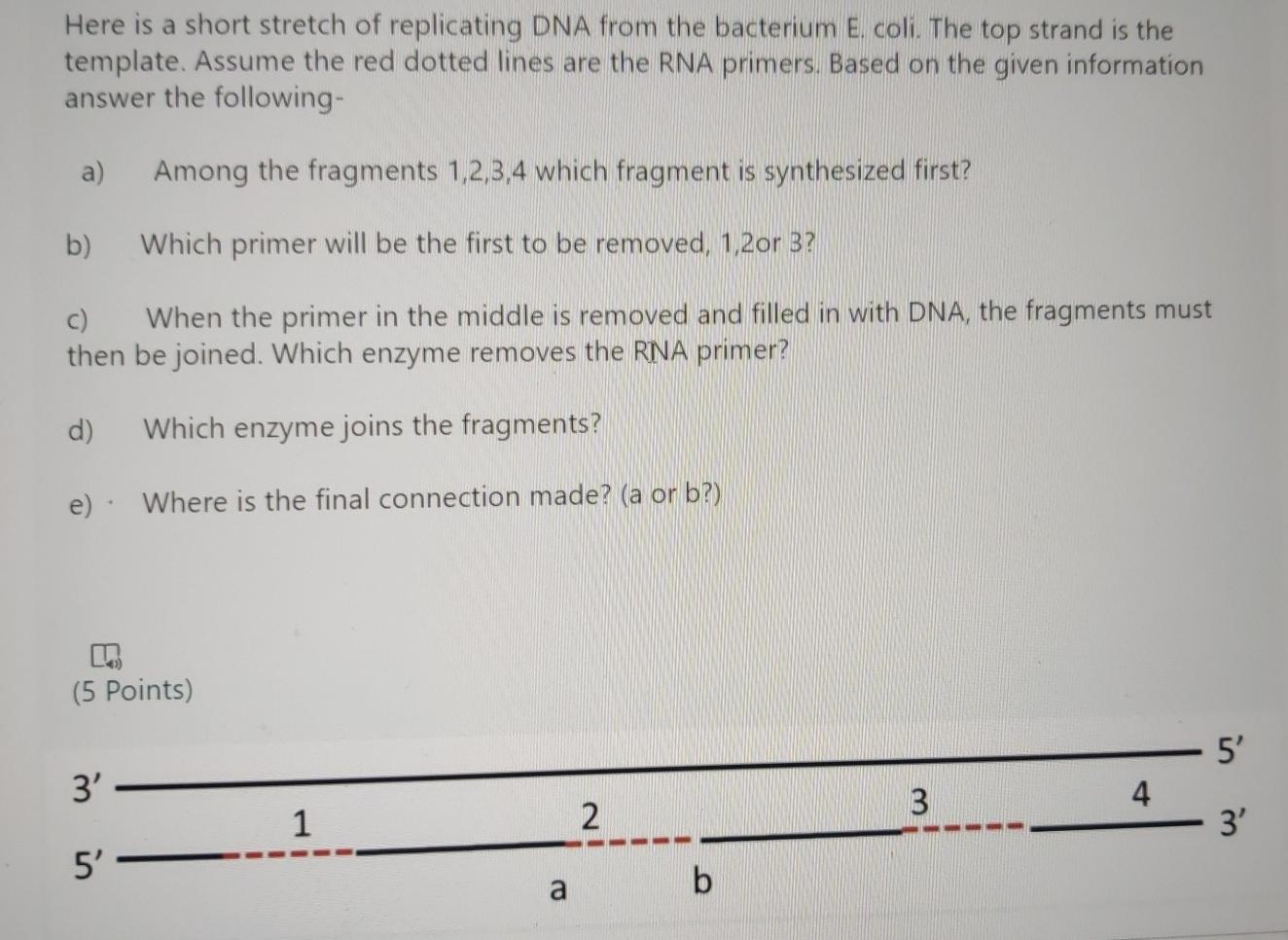 Solved Here is a short stretch of replicating DNA from the | Chegg.com