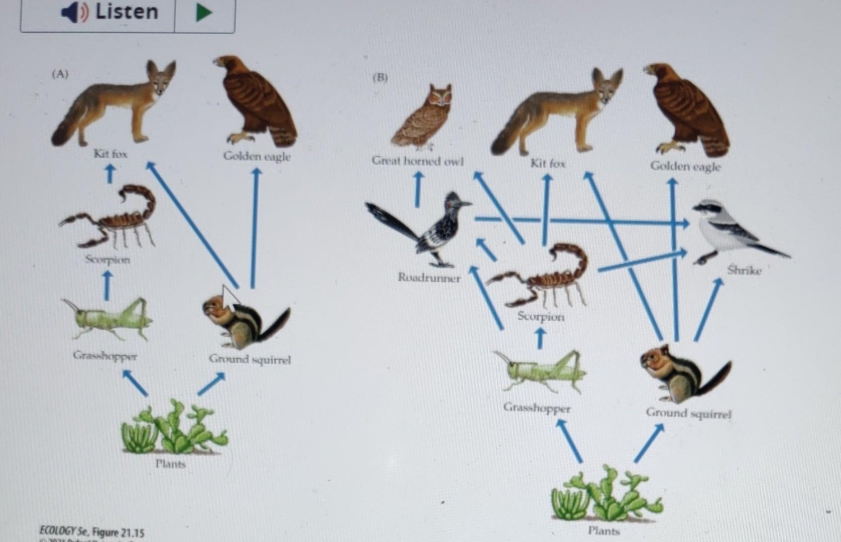 Solved Which statement about the scorpion in the food web Biology Diagrams