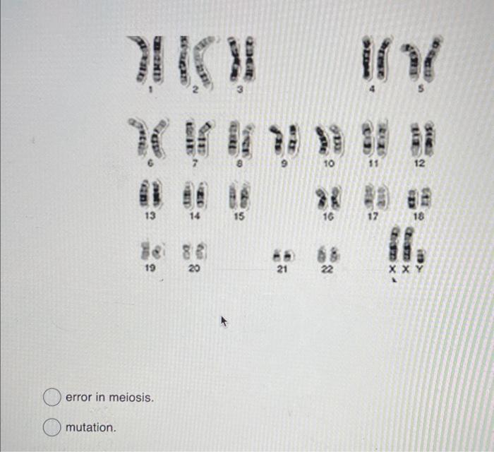 Solved error in meiosis. mutation. | Chegg.com