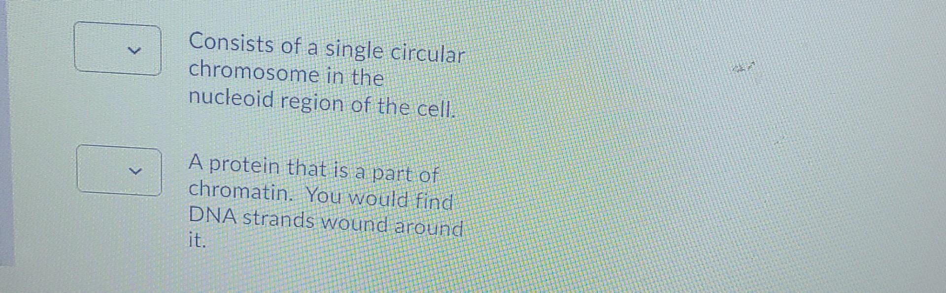 Solved A segment of a chromosome that codes for a specific | Chegg.com