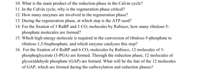 Solved please help answer something! plant physiology dark | Chegg.com