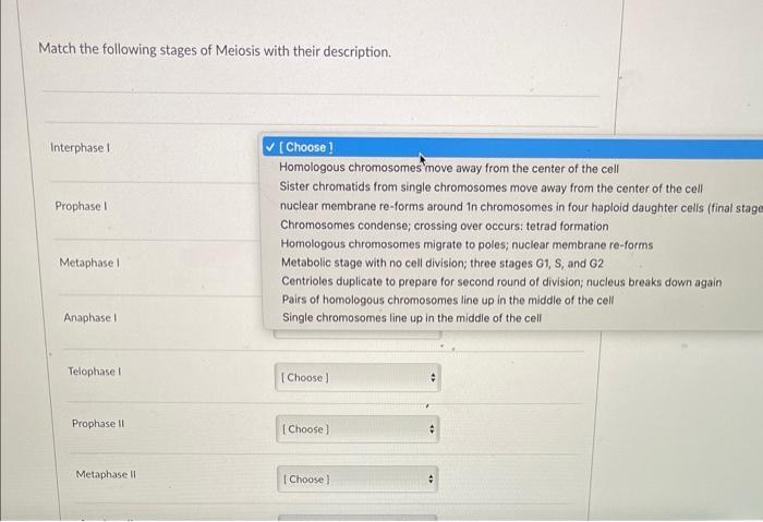 Solved Match the following stages of Meiosis with their | Chegg.com
